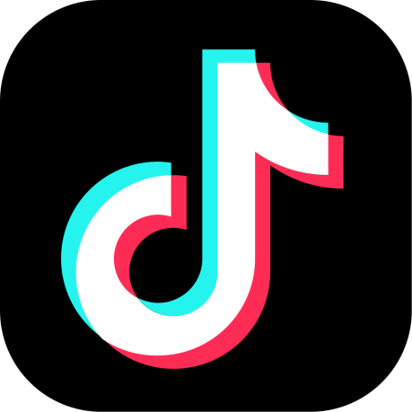 TikTok Icon